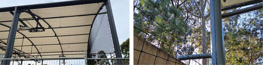 Example of Bird Netting on School COLAs